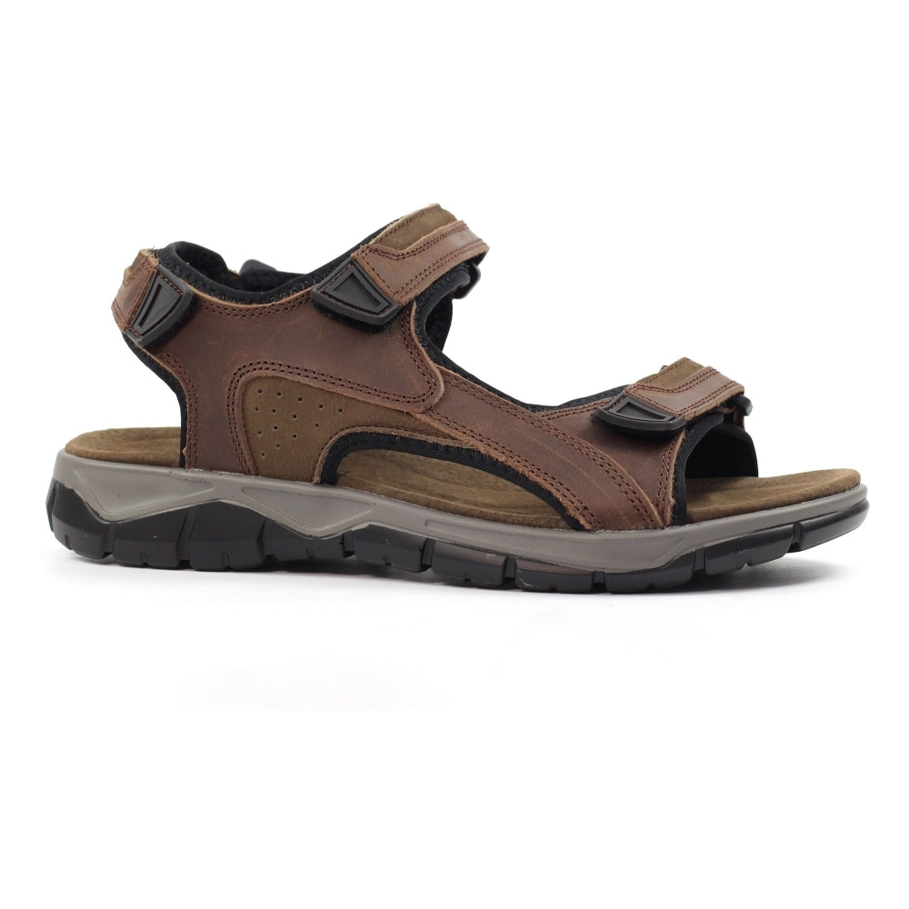 Lazy Dogz Lismore Men's 3 Strap Leather Sandal Brown