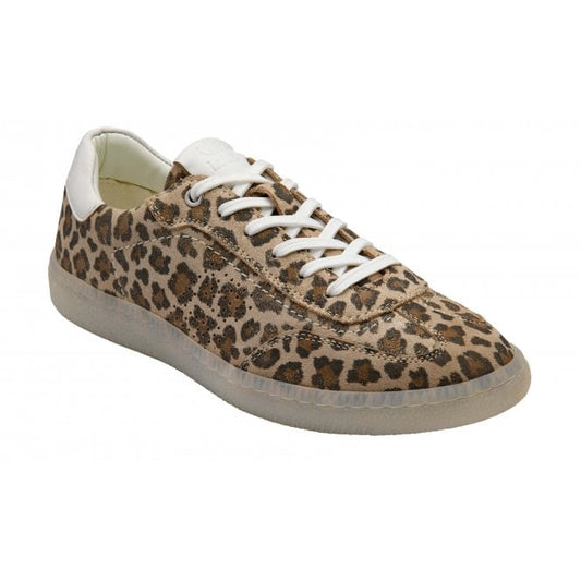 Lotus Frapporta Women's Leather Low Profile Lace Up Trainer Leopard Print