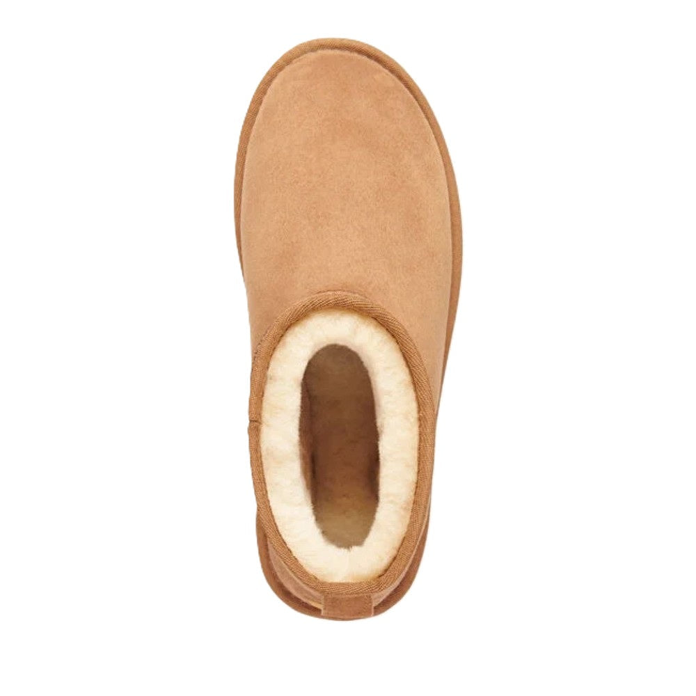 Emu Stinger Micro Women's Water Resistant Sheepskin Pull On Cosy Boot Chestnut